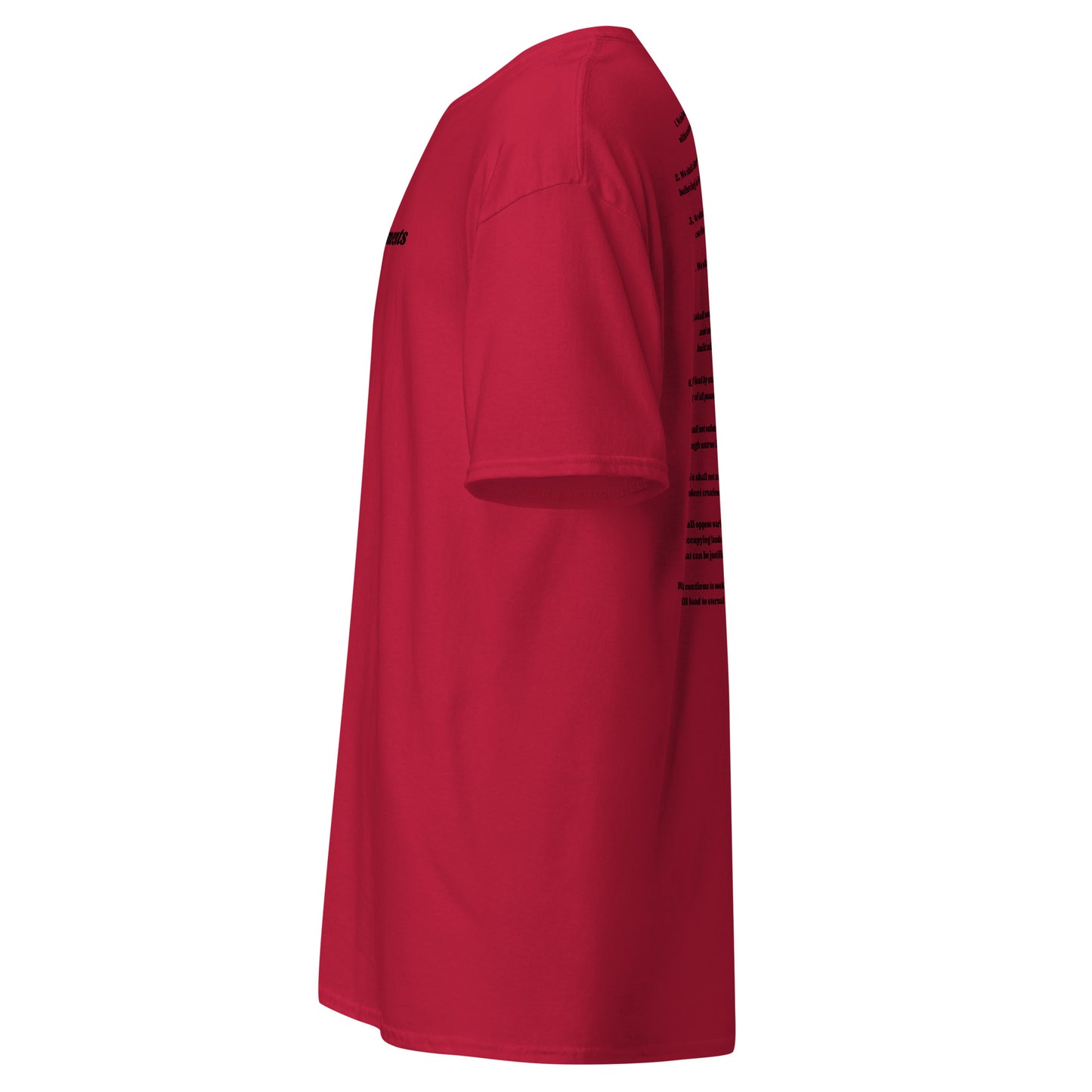 New Commandments T-shirt