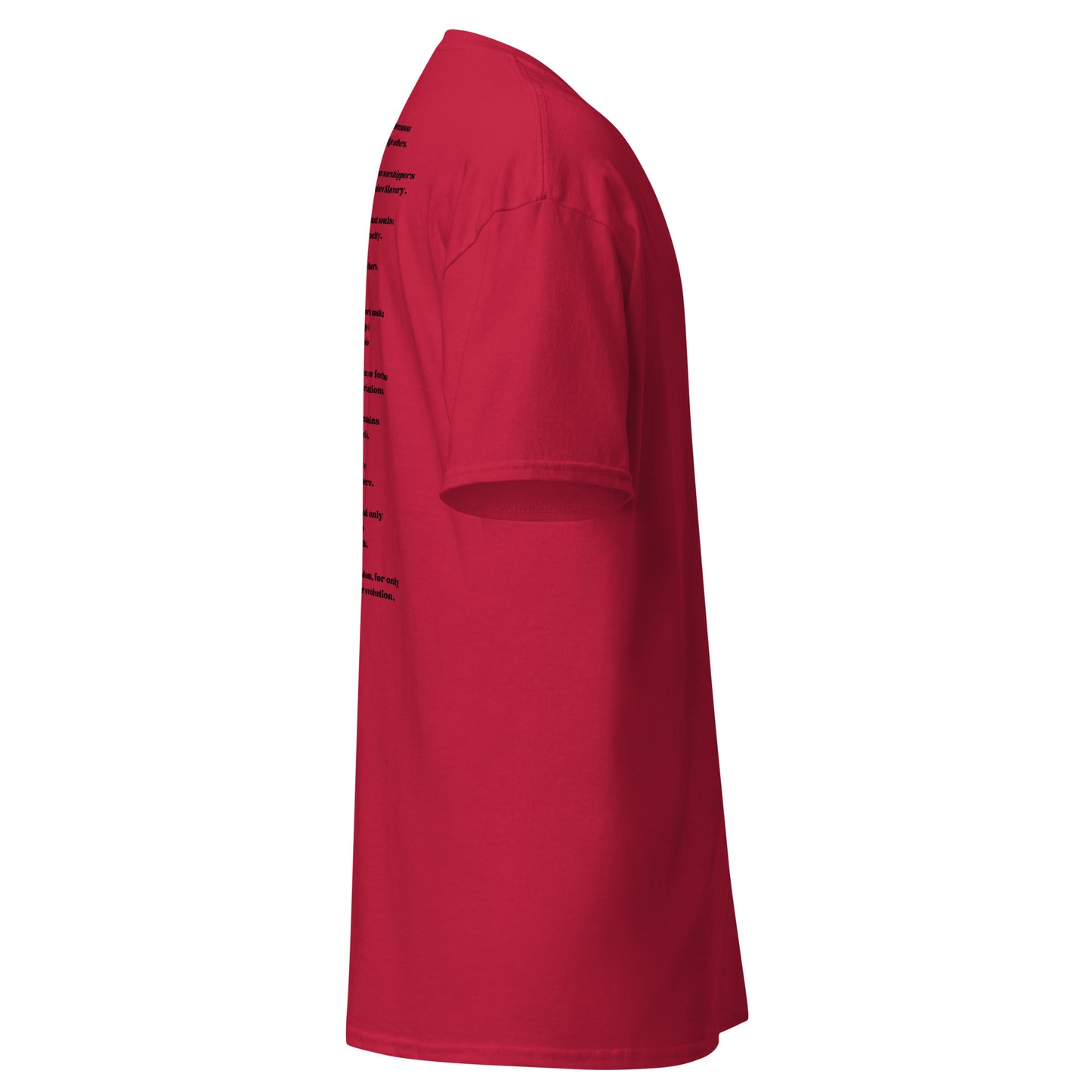 New Commandments T-shirt